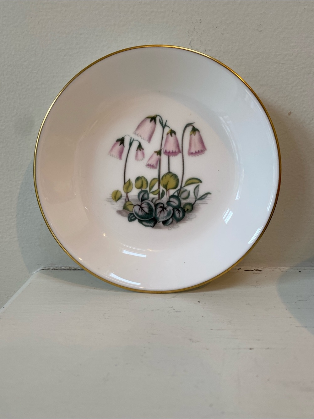 Vintage Royal Worcester Porcelain trinket dish